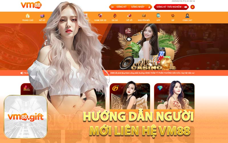 Hướng Dẫn Người Mới Liên Hệ VM88