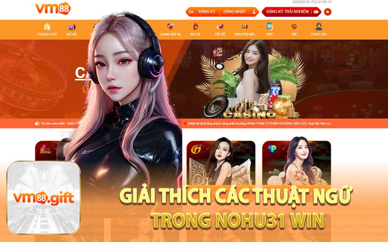 Giải Thích Các Thuật Ngữ Trong Nohu31 Win