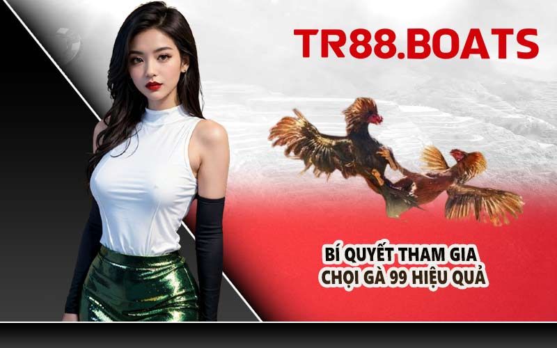 Bí quyết tham gia chọi gà 99 hiệu quả